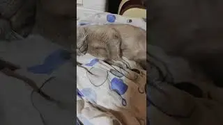 Вечером я доделываю начатое утром