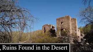 Treasure Hunting. The Lost Gold Discs