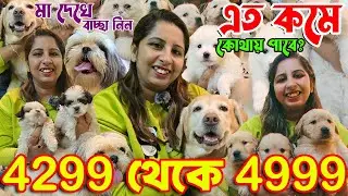Best Dog Kennel in Kolkata । Import Quality Kci Registered । Dog Market in Kolkata