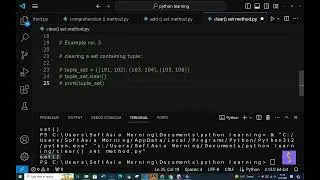 (SY) clear() set method in python