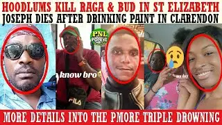 Hoodlums KlLL Raga & Bud In St Bess + Joseph DlES After Drinking Paint + More Triple Drowning Info