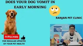 Does ur dog vomit in early morning ? - कारण और ईलाज