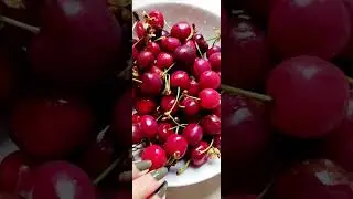 Yummy Cherry Fruit