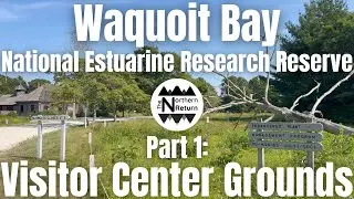 Waquoit Bay National Estuarine Research Reserve // Part 1: Visitor Center Grounds