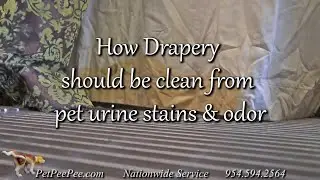 How Drapery should be clean from pet urine stains & odor