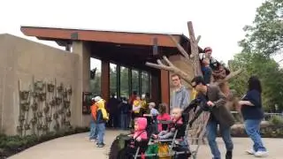 Orangutan Canopy Opens At The Kansas City Zoo