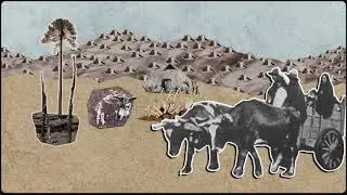 Impactos de la Industria Celulosa y Forestal