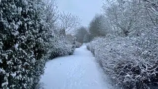 Nature is beautiful. Snow 2025. #paris 