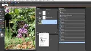 Photoshop Elements Tutorials- Undo History