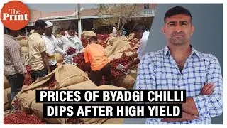 Bumper crop, bitter harvest &mdash; what led to Byadgi Chilli market violence