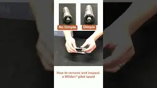 How to remove and inspect a Wilden pilot spool