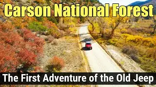 Off Road in the Carson National Forest: Episode 2 #carsonnationalforest #jeepyj #jeep #wrangler