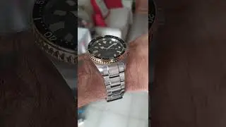 Citizen prodiver NY0125-83E