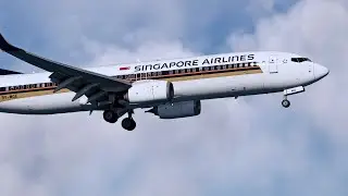 TaiModels Singapore Changi Arrival (WSSS) | PMDG 737-800 | MSFS 2020 MSFS 2024 | VATSIM