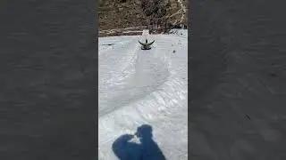 #manali #trip #music #oldsong #arijitsingh #fun #masti #song #treding #video #camera #iceland