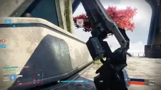 Destiny: I'm so sorry.