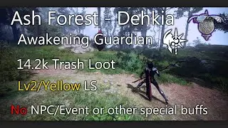Black Desert Online | Guardian Awakening Dehkia Ash Forest 14.2k tl [Lv2 LS]