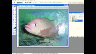 Full Video, Photoshop Tutorial Paket Dasar, Pengenalan Adobe Photoshop