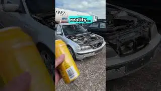 Dream vs reality...