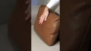 Design/Brands