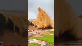 Brutal flood devastates forest and farm in rural area #disaster #flashflood #flood #shorts
