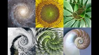 The Golden Ratio (a discussion with the 36-72-72 triangle)