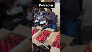 dehradun mandi apple auction #shorts