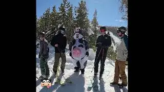 Shredding the Cow Slopes #fizzymoo #snowboarding