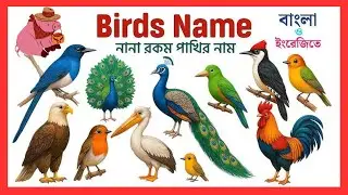 Birds Name, 80 birds name, birds name with spelling pictures | পাখির নাম @Shahanazkidsschool