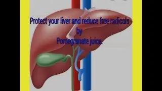 How to protect your liver ,cell damage & remove free radicals and reduce inflammation.