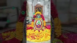 Somnath live darshan 01/05 #darshan #trending #ytshorts #yt #temple #daily #subscribe #yts