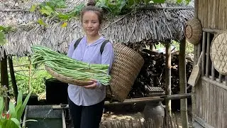 Harvest the garden of cowpeas and spinach to sell at the market and garden