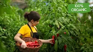 Organic Farming: A Greener Path to a Healthier World (2 Minutes)