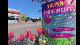 🌷 Tulpenfest Winsen (Luhe) 2025 – Farben, Frühling & gute Laune!