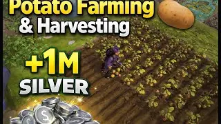 How I Make Silver Harvesting 1 Million Silver with Potato Farming 🥔 | Albion Online