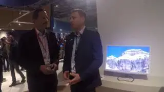 QD Vision at IFA 2015