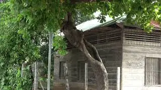 Video de las casas antiguas de Santa Cruz