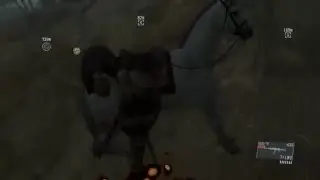 /Miembros fantasamas