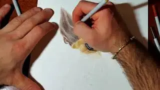 Come disegnare un cane realistico PT  1