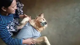 Maggu ko ky ho gya😂😂😂😂... #familyvlog #firstvlog #family #vlogs #vlog #vloger 