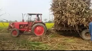 510 p trali load kr rhy ha mea asif driver ha rusi p 25saal k tajrba k sath #automobile 