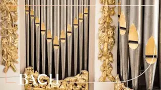 Bach - Jesu, meine Freude BWV 1105 - Van Doeselaar | Netherlands Bach Society