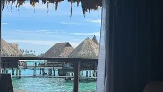 Honeymoon Vlog! Tahiti/Moorea Mini Movie Thing