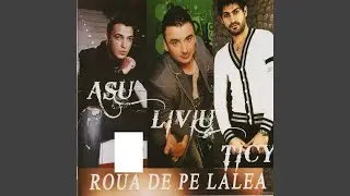 Roua De Pe Lalea (Feat. Liviu Guta & Ticy)