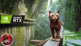 Stray PC Gameplay Part 1 | RTX 2060 Ray Tracing Test + First Impressions #stray  #pcgames