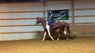 Layne Riley Non-Stirrup Flat Work January 2021 on Nakota