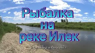 ДНЕВНИК РЫБАКА #13 / РЕКА ИЛЕК / КРУПНЫЙ ПОДУСТ
