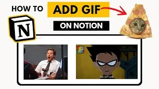 How to Add GIF on Notion (3 Simple Methods for Beginners)