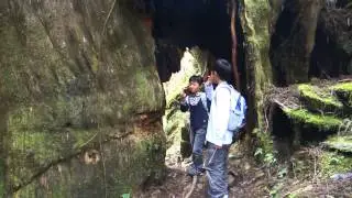 M4H01370.MP4