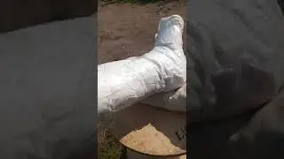 mi pierna